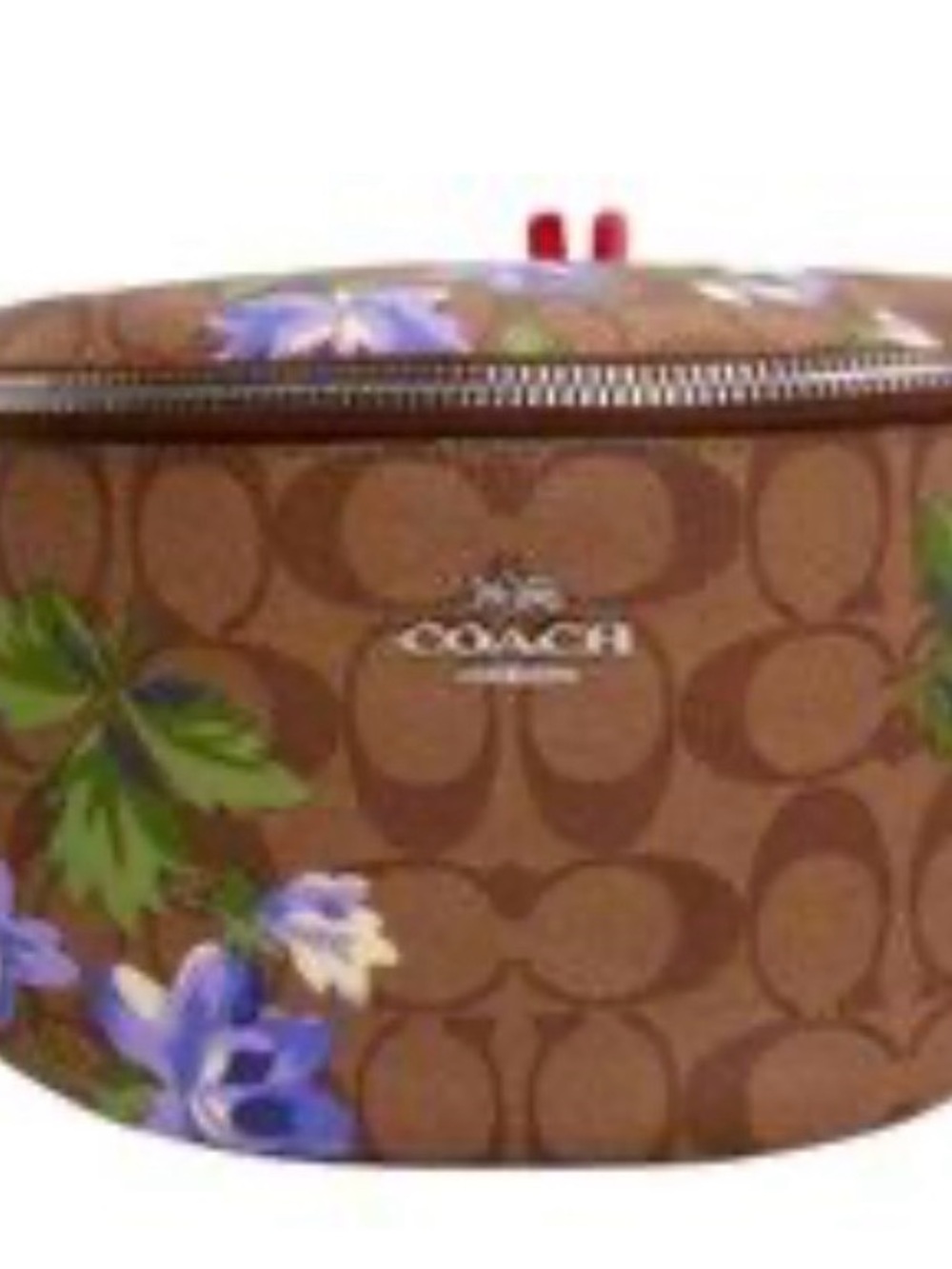 Coach Signature Canvas Lily Print Belt Bag (Style F75701)